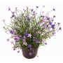 Fiore decorativo Impatiens GISINDA in vaso decorativo, lilla, 25cm