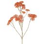 Ramo decorativo di achillea ORTEGA, arancione, 70 cm, Ø 4 cm