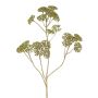 Ramo decorativo achillea ORTEGA, verde, 70 cm, Ø 4 cm