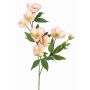 Ramo artificiale di rosa di Natale ANYALA, rosa-bianco, 60cm, Ø5-6cm