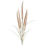 Ramo decorativo di erba piumata AREVALO con pannocchie, beige, 135 cm