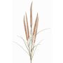 Ramo decorativo di erba piumata AREVALO con pannocchie, beige, 135cm