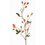 Ramo decorativo di rosa selvatica ZERBST con cinorrodi, arancione-rosso, 80cm