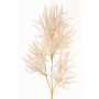 Ramo decorativo corallo BILBAS, crema, 70cm