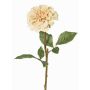 Fiore artificiale dalia BREDANA, beige, 60cm, Ø11cm