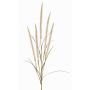 Ramo decorativo erba piumata AREVALO con pannocchie, crema, 135cm