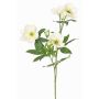 Ramo artificiale di rosa di Natale ANYALA, crema-bianco, 60cm, Ø5-6cm
