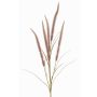 Ramo decorativo di erba piumata AREVALO con pannocchie, malva, 135cm