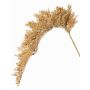 Ramo artificiale di sorgo BOTTO con spighe, beige, 95cm