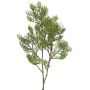 Ramo decorativo di cipresso artificiale SILVARIO, verde, 75 cm