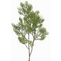 Ramo decorativo di cipresso artificiale SILVARIO, verde, 75cm