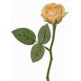 Fiore artificiale rosa GABI, pesca-crema, 30cm, Ø6cm
