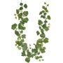 Ghirlanda di edera artificiale NELENIA con frutti, verde, 180 cm