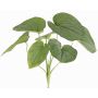 Pianta artificiale Funkie RAIATEA su bastone, verde, 65cm