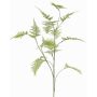 Decorazione ramo Asparagus plumosus UHERA, verde, 140cm