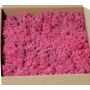 Muschio islandese vero SVEINBJÖRN, rosa, 2,7 kg
