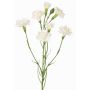 Ramo finto garofano PIARA, bianco, 60cm, Ø3-5cm