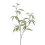 Ramo decorativo albero delle dita DREVAL, congelato, bianco-verde, 65 cm