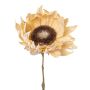 Girasole artificiale CRUFT, effetto secco, color crema, 60 cm