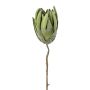 Fiore artificiale Protea LINDAR, verde, 70 cm
