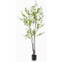 Albero artificiale nasturzio TUFFY, tronco artificiale, verde, 210 cm