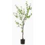 Albero artificiale nasturzio TUFFY, tronco artificiale, verde, 150 cm