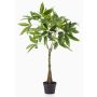 Albero artificiale Pachira ALEC, tronchi artificiali, 90 cm