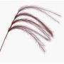 Ramo artificiale pannocchie di erba piuma LUMINIA, rosso bordeaux, 135 cm