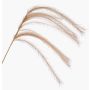 Ramo artificiale con pannocchie di erba piumata LUMINIA, beige, 135 cm