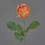 Fiore artificiale rosa POPI, arancione-rosa, 55 cm, Ø7 cm