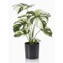 Fake Philodendron Monstera Deliciosa Variegata ZAINE, verde-bianco, 40 cm