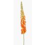 Grande fiore artificiale Candela della steppa NITTI, arancione, 130 cm