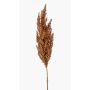 Ramo artificiale di sorgo VANCE con spighe, marrone chiaro, 80 cm