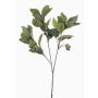 Ramo artificiale di eucalipto VIZIMIR con frutti, verde, 80 cm