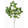 Ramo artificiale di faggio SIFOS, verde, 95 cm
