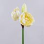 Amaryllis artificiale GRELTA, crema-giallo, 80cm