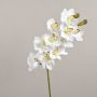 Ramo di orchidea Cymbidium artificiale LANAKILA, bianco, 75 cm