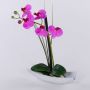 Orchidea artificiale Phalaenopsis YANNIE, canna, vaso in ceramica, cerise, 30 cm