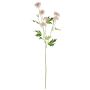 Ramo di fiori artificiali crisantemo REINHARDA, rosa-bianco, 65 cm