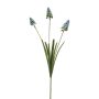 Ramo decorativo di muscari ROPINA, blu-verde, 55 cm