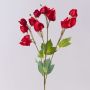 Ramo artificiale Physalis SEVERINA con frutti, rosso, 60cm
