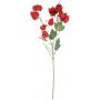 Ramo artificiale Physalis SEVERINA con frutti, rosso, 60 cm