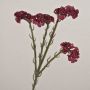 Fiore artificiale Limonium AYISHA, effetto secco, rosso scuro, 65 cm
