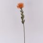 Fiore artificiale cuscino di spilli Protea URMINE, effetto secco, arancione, 60 cm