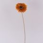 Gerbera artificiale TUNGUSKA, effetto secco, arancione, 55cm, Ø11cm