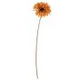 Gerbera artificiale TUNGUSKA, effetto secco, arancione, 50 cm