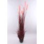 Erba della pampa artificiale WERNHILD con pannocchie, vaso decorativo, rosso-marrone, 180cm