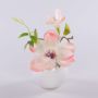 Magnolia artificiale FEMI in vaso di ceramica bianco, crema-albicocca, 20 cm, Ø 17 cm