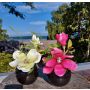 Magnolia artificiale FEMI in vaso di ceramica nero, crema-verde, 20 cm, Ø 17 cm