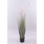 Erba decorativa per lampade PARIDKO con pannocchie, rosa-verde, 120cm